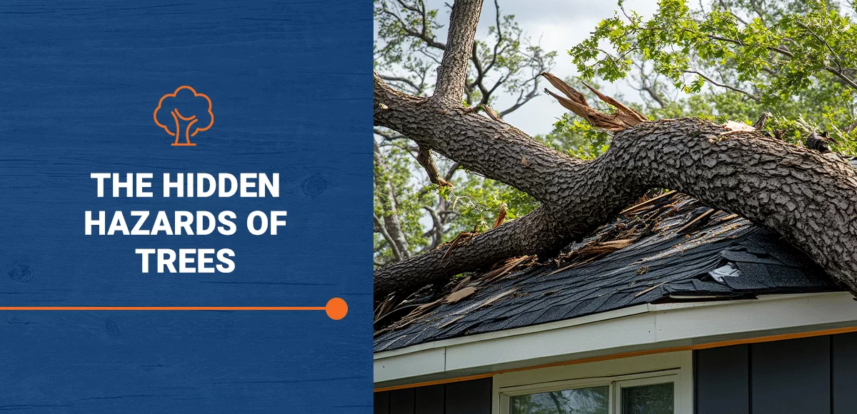 The Hidden Hazards of Trees: Protecting Your Home and Property | Method Inspections — Method Inspections