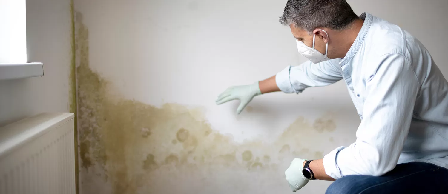 Mold: What You Need to Know and How to Address It | Method Inspections — Method Inspections