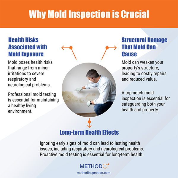infographic of Why Mold Inspection is Crucial